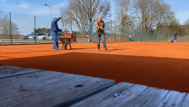 Auswinterung